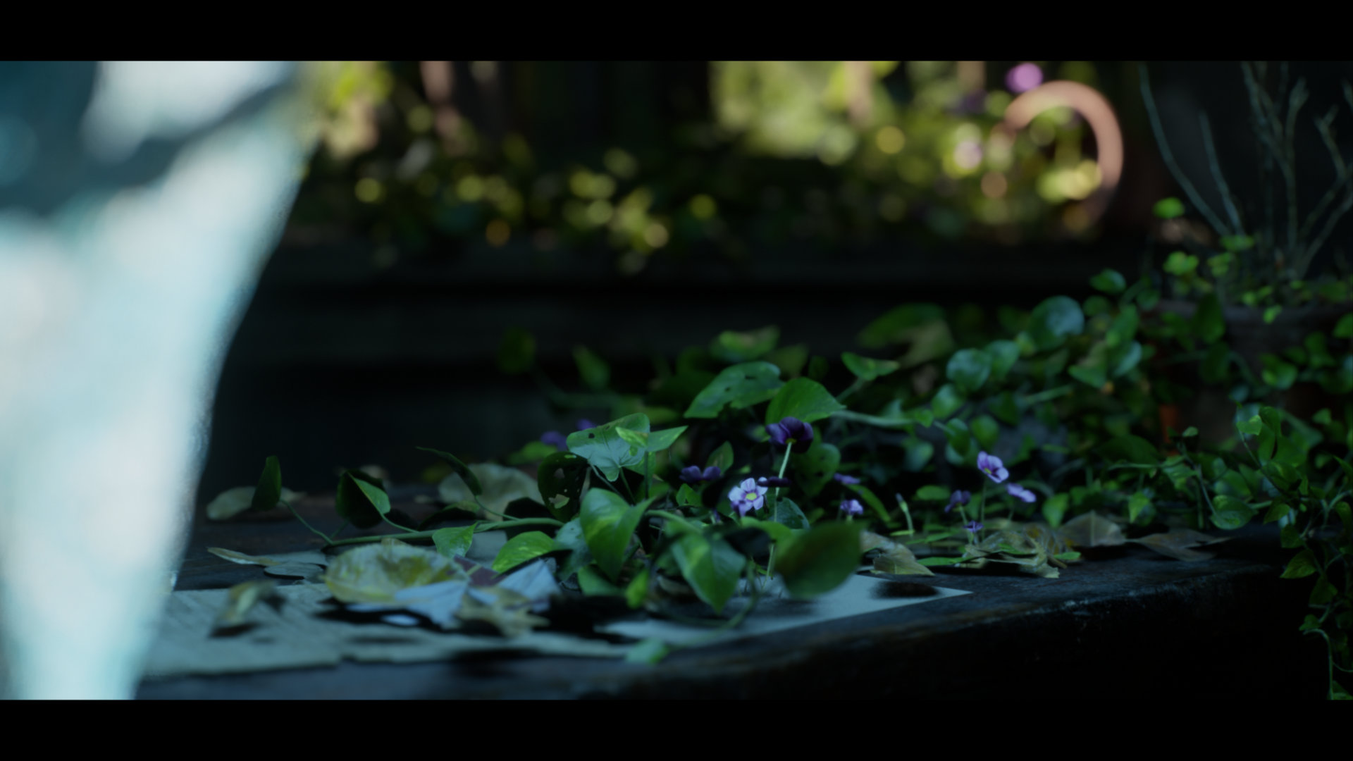 Screenshot of a plant in the Megascans Abandoned Apartment scene in Unreal Engine created with the Cinematographer camera plugin.